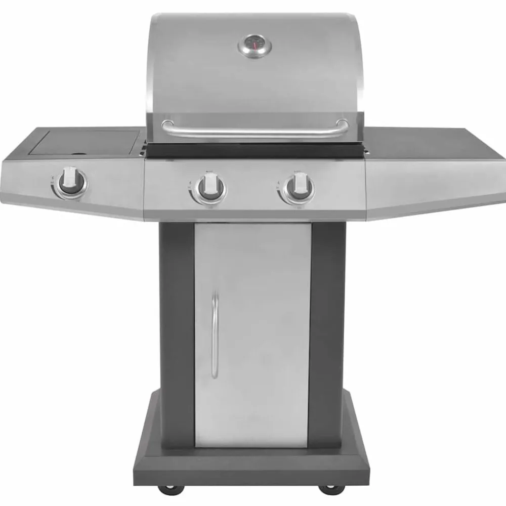 Arts De La Table & Arts Culinaires-vidaXL Gril à Gaz avec Brûleur Argenté Acier avec Tuyau en Métal