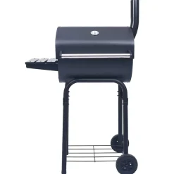 vidaXL Gril barbecue au charbon avec étagère inférieure Noir