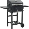 Arts De La Table & Arts Culinaires-vidaXL Gril de barbecue au charbon de bois et étagère inférieure Noir