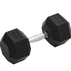 vidaXL Haltère 22,5 kg Fonte