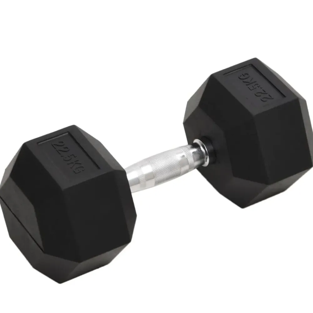 vidaXL Haltère 22,5 kg Fonte