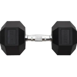 vidaXL Haltère 22,5 kg Fonte