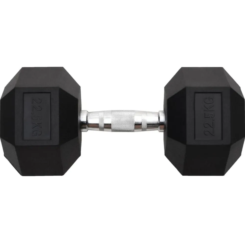 vidaXL Haltère 22,5 kg Fonte