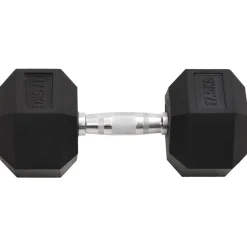 vidaXL Haltère 17,5 kg Fonte