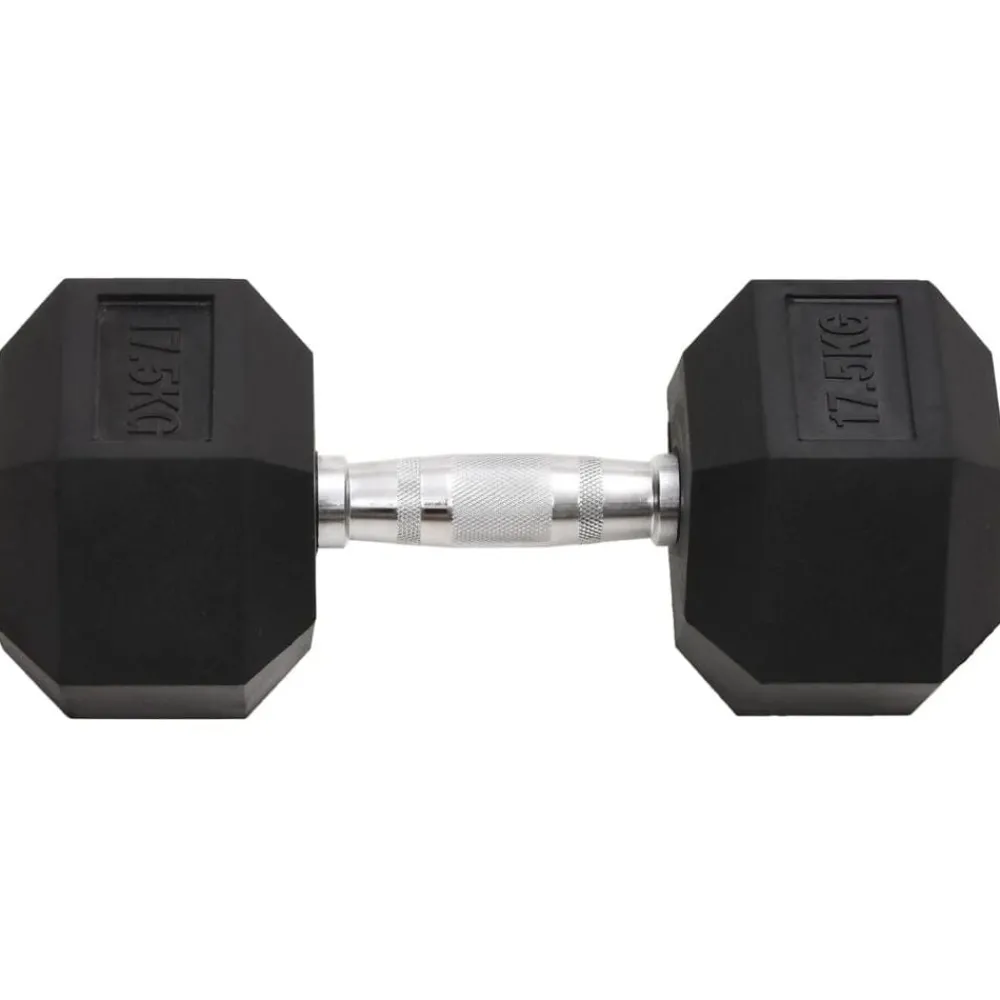 vidaXL Haltère 17,5 kg Fonte