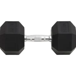 vidaXL Haltère 27,5 kg Fonte