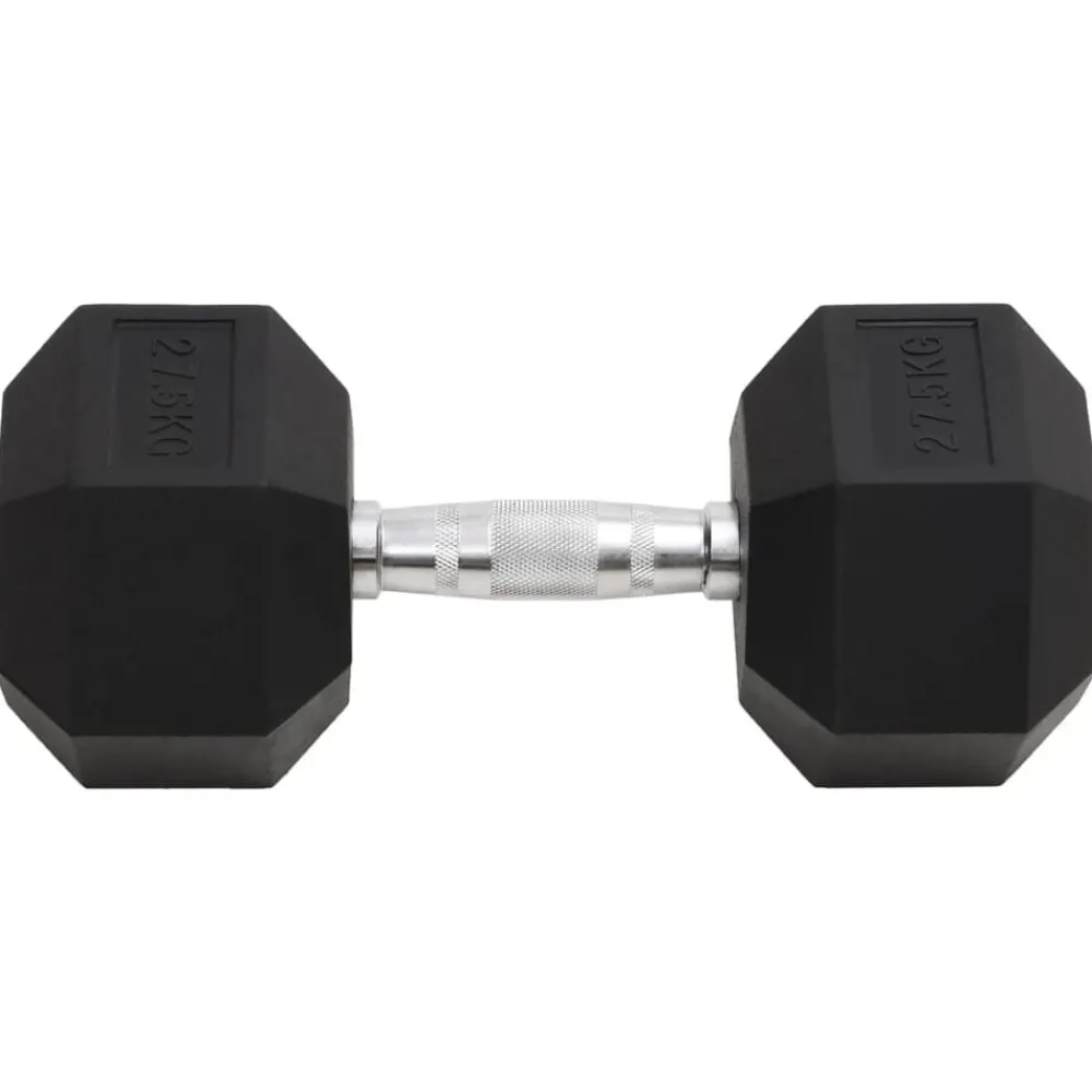 vidaXL Haltère 27,5 kg Fonte