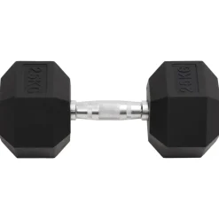 vidaXL Haltère 25 kg Fonte