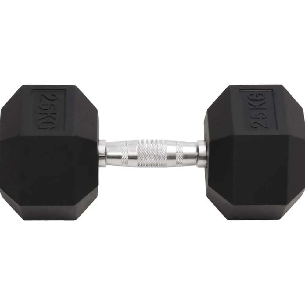 vidaXL Haltère 25 kg Fonte