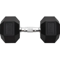 vidaXL Haltère 25 kg Fonte