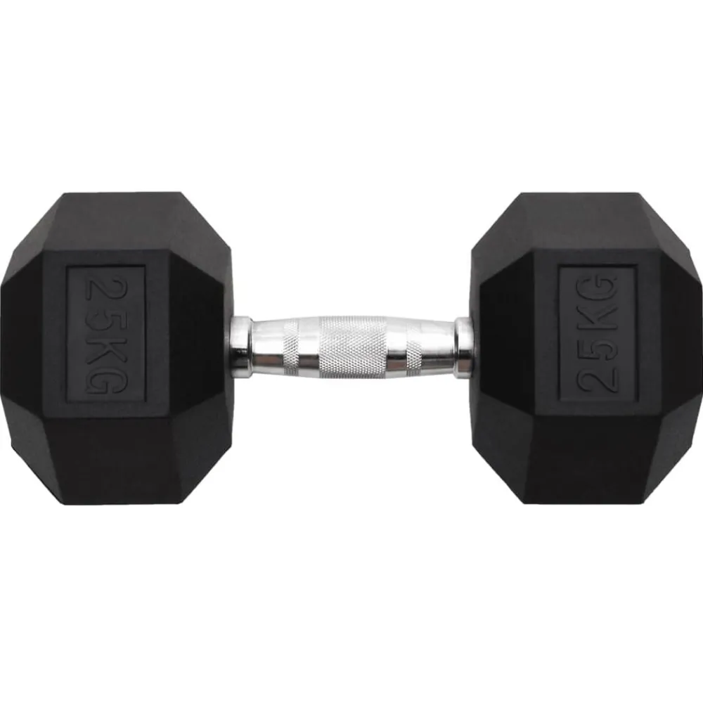 vidaXL Haltère 25 kg Fonte