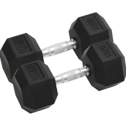 vidaXL Haltères 2 pcs 20 kg Total Fonte