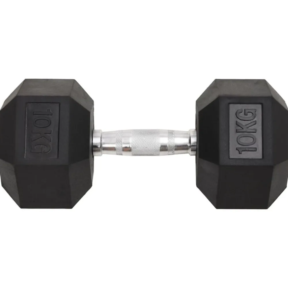 vidaXL Haltères 2 pcs 20 kg Total Fonte