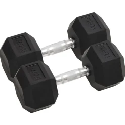 vidaXL Haltères 2 pcs 25 kg Total Fonte