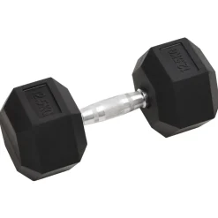 vidaXL Haltères 2 pcs 25 kg Total Fonte