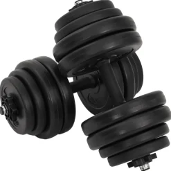 vidaXL Haltères 2 x 15 kg