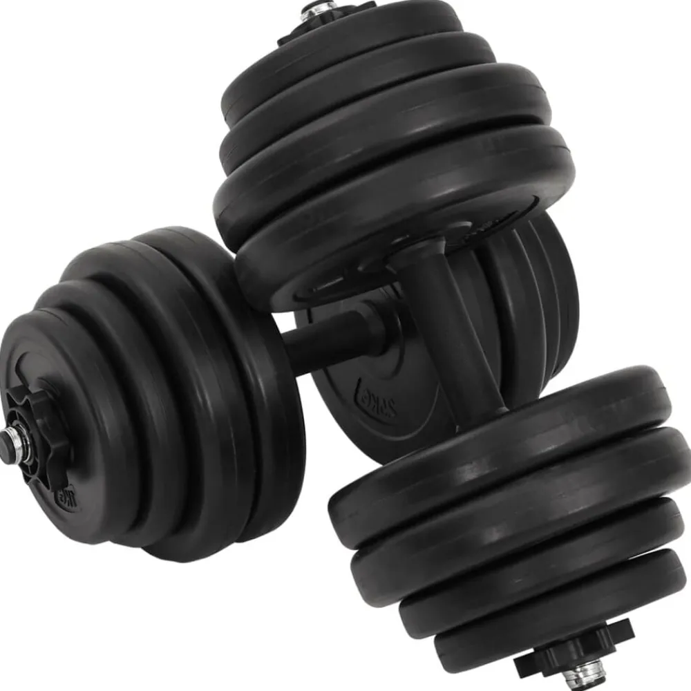 vidaXL Haltères 2 x 15 kg