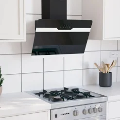 vidaXL Hotte murale 60 cm Acier et verre trempé