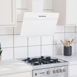 vidaXL Hotte murale 60 cm Acier et verre trempé