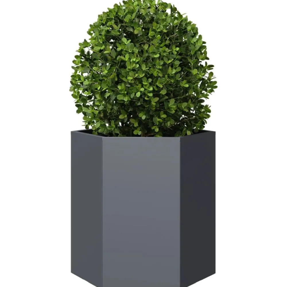 vidaXL Jardinière anthracite hexagone 46x40x45 cm acier