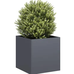 vidaXL Jardinière 40x40x40 cm acier laminé à froid