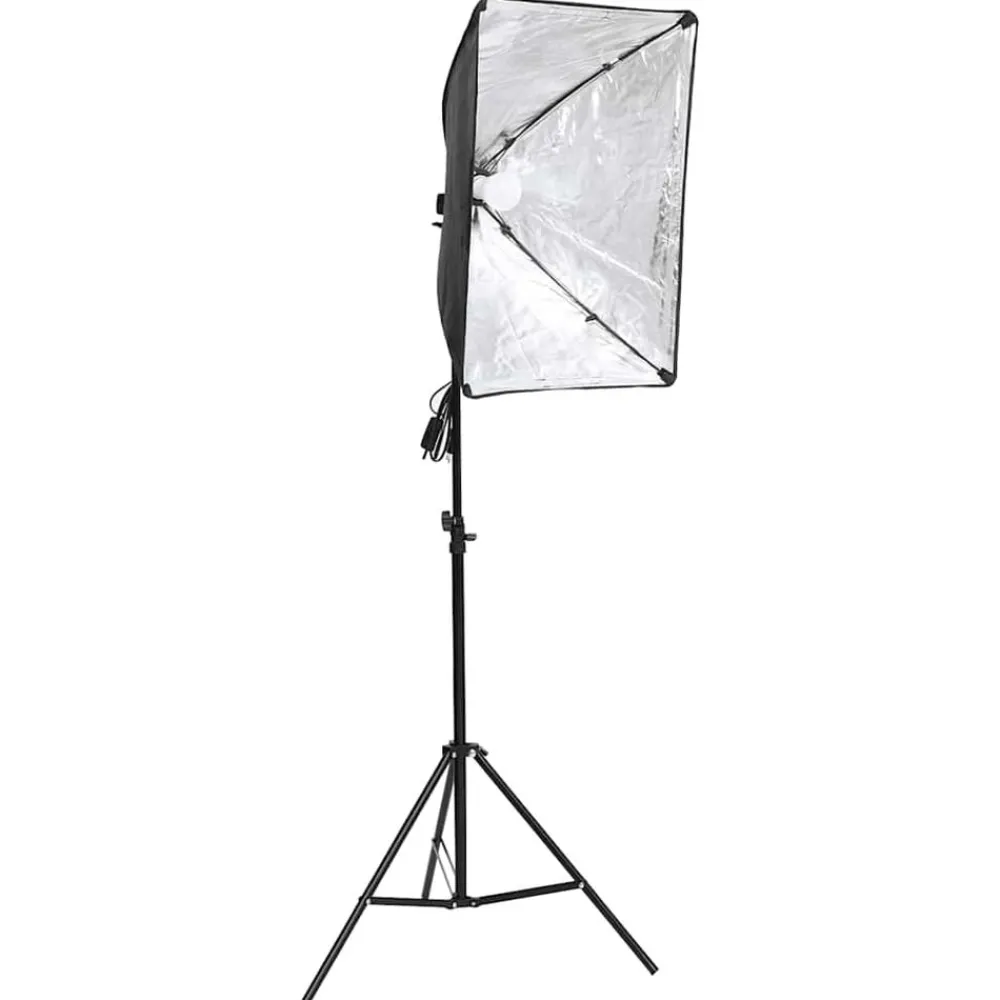 vidaXL Kit d'éclairage studio avec toiles de fond et boîtes à lumière