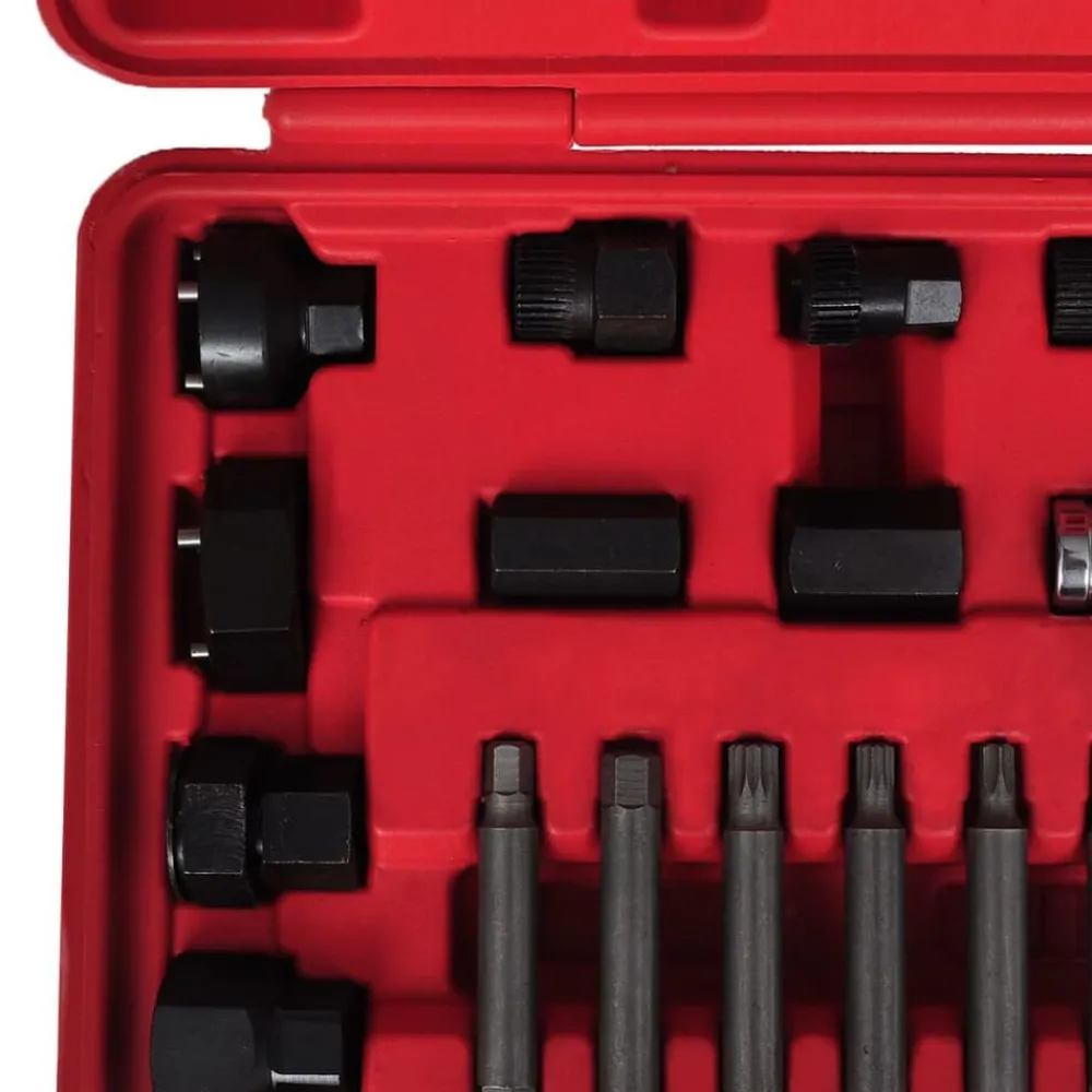 Equipement & Outils De Garage-vidaXL Kit de démontage de roue libre d'alternateur 22 pcs