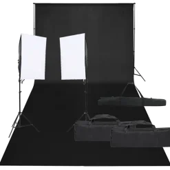 vidaXL Kit de studio photo avec éclairage et toile de fond