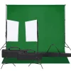 Appareils Photo-vidaXL Kit de studio photo avec éclairage et toile de fond