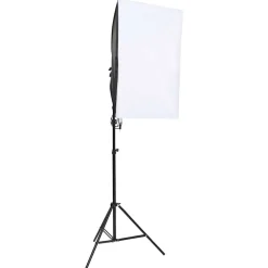 Appareils Photo-vidaXL Kit de studio photo avec éclairage et toile de fond