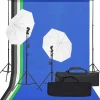 vidaXL Kit de studio photo avec éclairage et toile de fond