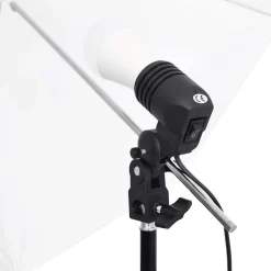 vidaXL Kit de studio photo avec éclairage et toile de fond