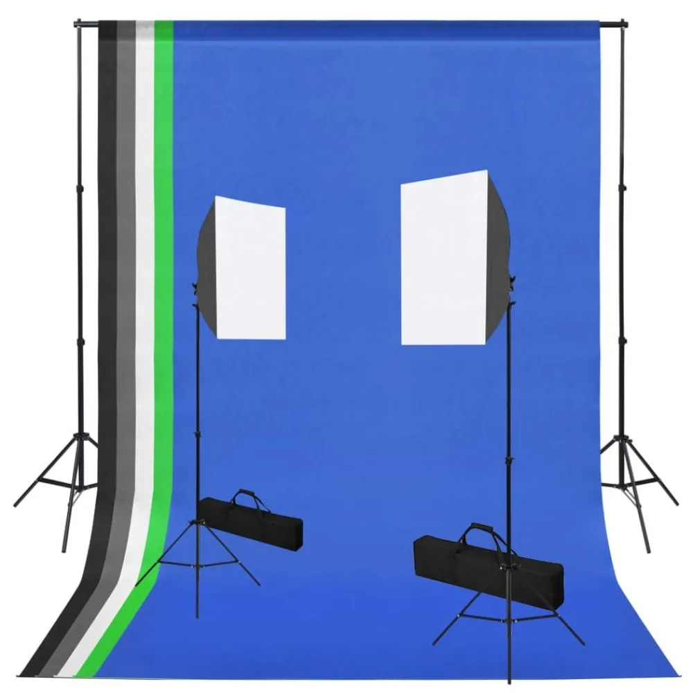 vidaXL Kit de studio photo avec boîte à lumière et toiles de fond
