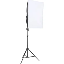 Appareils Photo-vidaXL Kit de studio photo avec éclairage et toile de fond