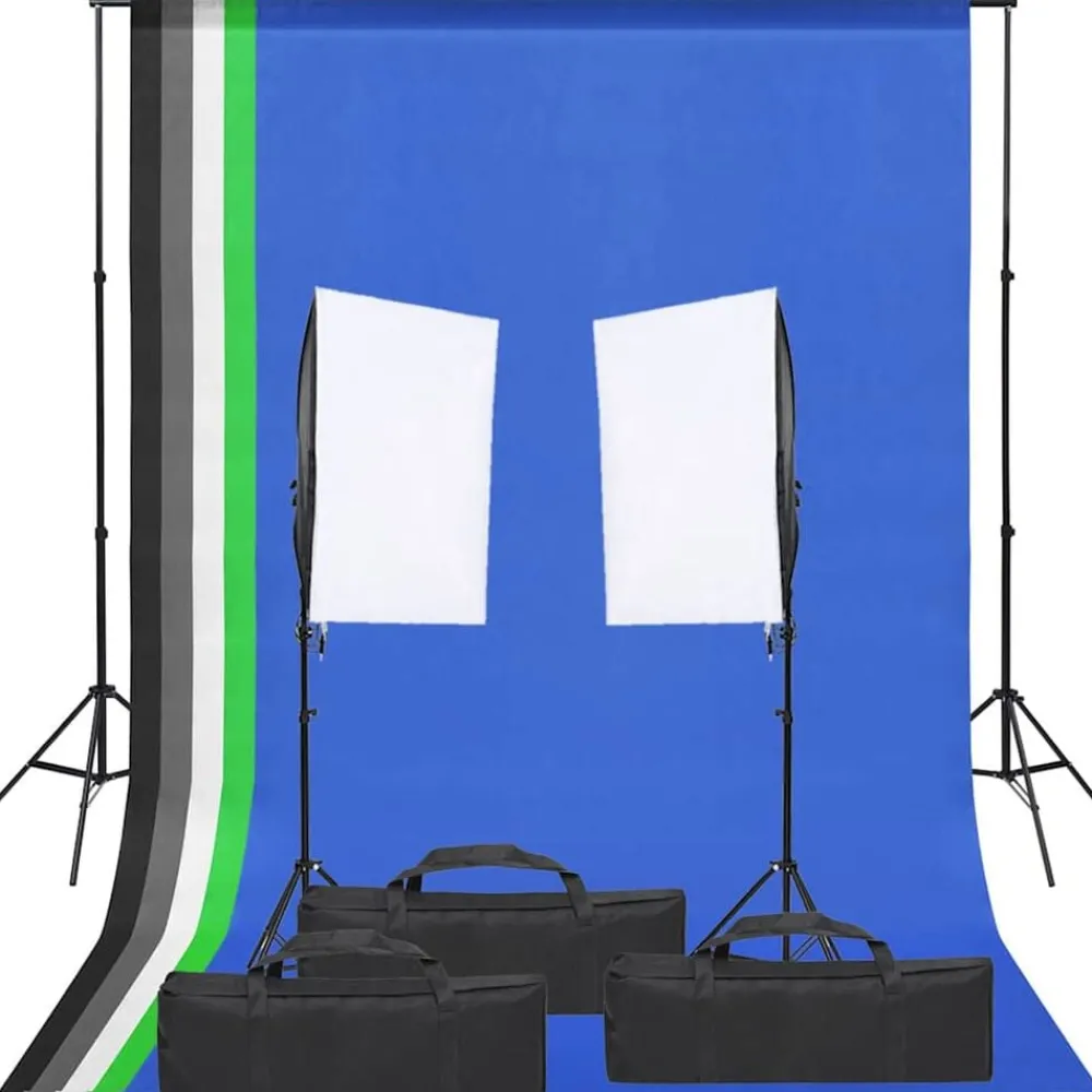 Appareils Photo-vidaXL Kit de studio photo avec éclairage et toile de fond