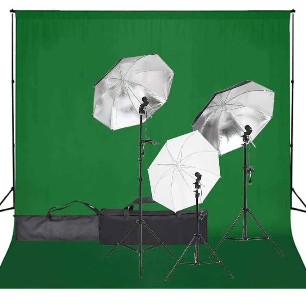 vidaXL Kit de studio photo avec éclairage et toile de fond