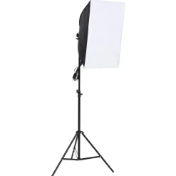 vidaXL Kit de studio photo avec éclairage toile de fond et réflecteur