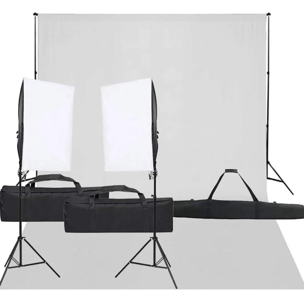 vidaXL Kit de studio photo avec éclairage et toile de fond