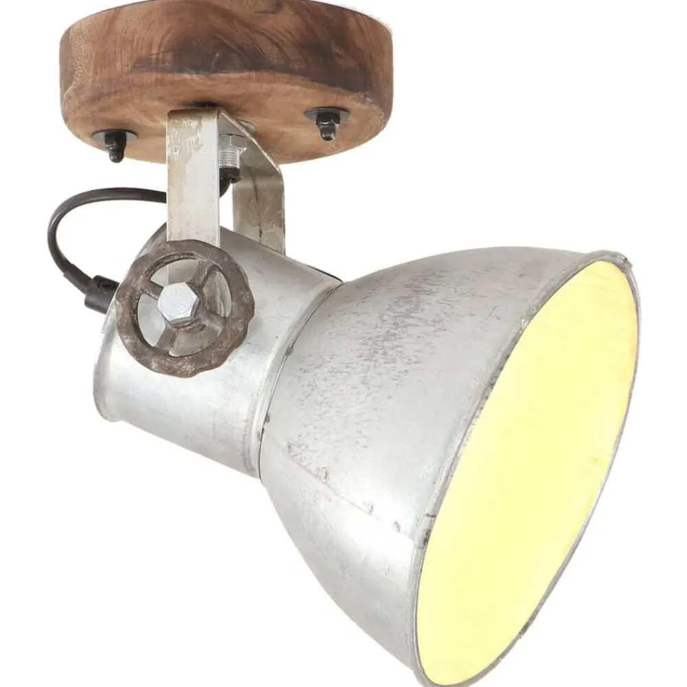 vidaXL Lampe murale industrielle/plafonnier 2 pcs é 20x25 cm E27