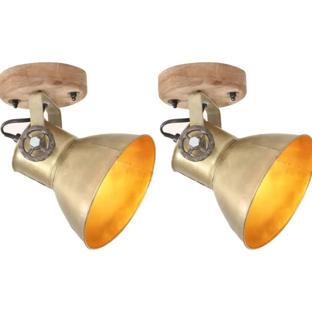 vidaXL Lampe murale industrielle/de plafond 2 pcs 20x25 cm E27