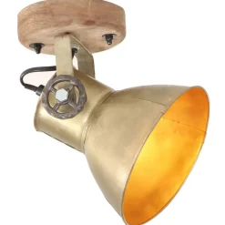 vidaXL Lampe murale industrielle/de plafond 2 pcs 20x25 cm E27