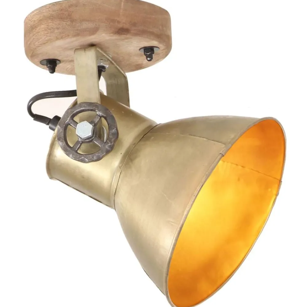 vidaXL Lampe murale industrielle/de plafond 2 pcs 20x25 cm E27