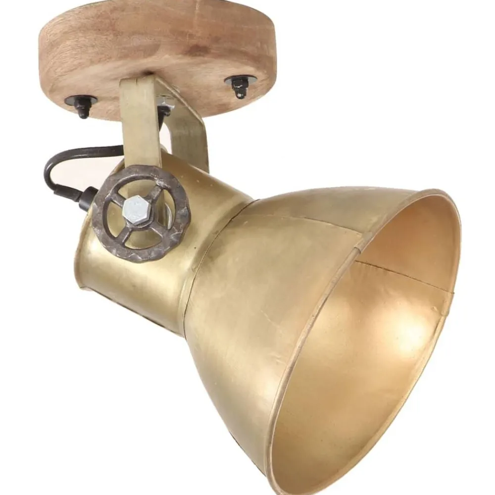 vidaXL Lampe murale industrielle/de plafond 2 pcs 20x25 cm E27