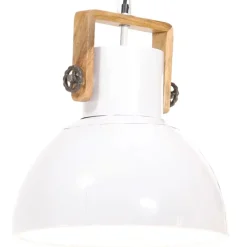 vidaXL Lampe suspendue industrielle 25 W Rond 40 cm E27