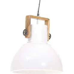 vidaXL Lampe suspendue industrielle 25 W Rond 40 cm E27