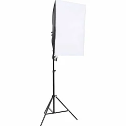 Appareils Photo-vidaXL Lampes de studio professionnelles 2 pcs 40x60 cm