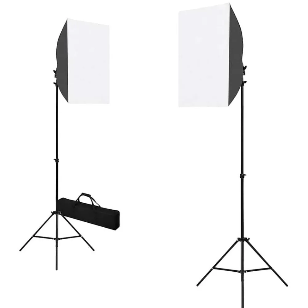 vidaXL Lampes de studio professionnelles 2 pcs 40x60 cm Acier Noir