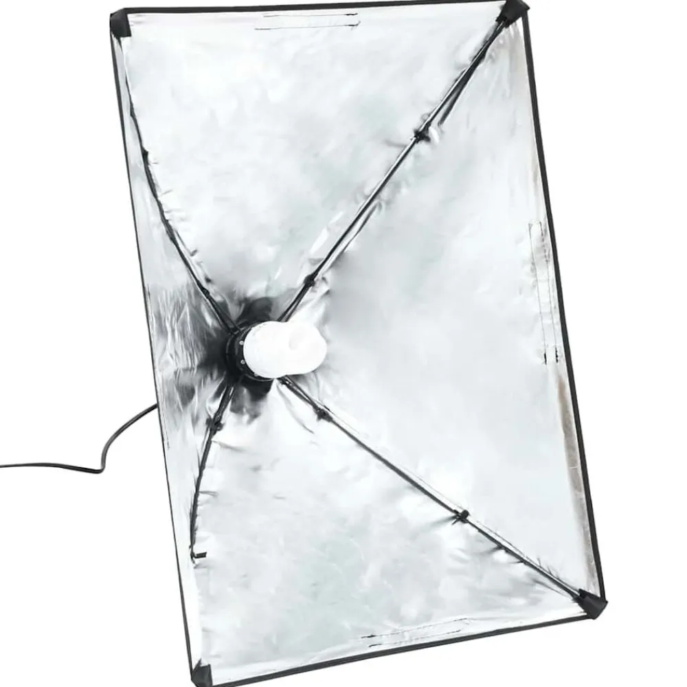 vidaXL Lampes de studio professionnelles 2 pcs 40x60 cm Acier Noir