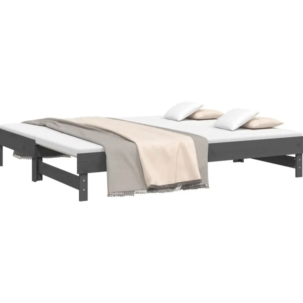 vidaXL Lit coulissant sans matelas 2x(100x200) cm