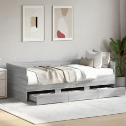 vidaXL Lit de jour avec tiroirs sans matelas 100x200 cm